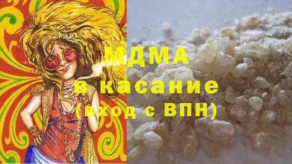 индика Заводоуковск