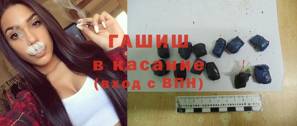 индика Заводоуковск