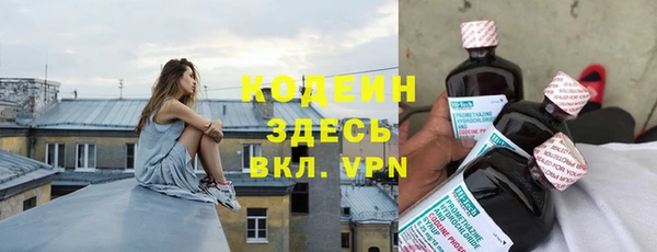индика Заводоуковск