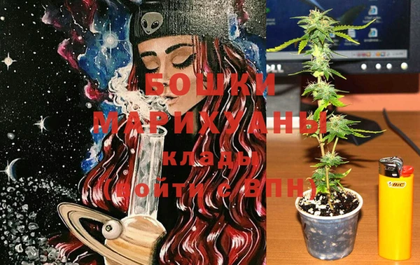 индика Заводоуковск