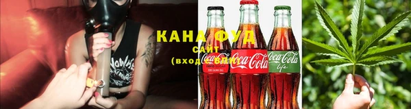 индика Заводоуковск
