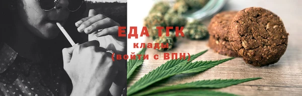 индика Заводоуковск