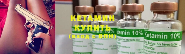 индика Заводоуковск