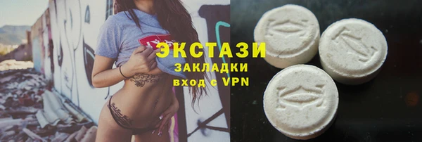 индика Заводоуковск