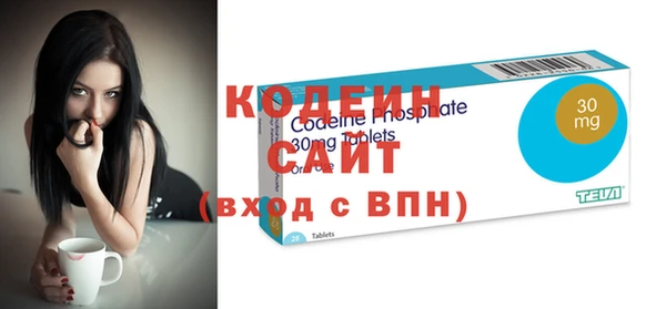 индика Заводоуковск