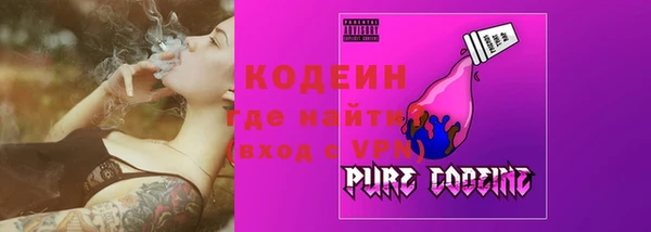 индика Заводоуковск