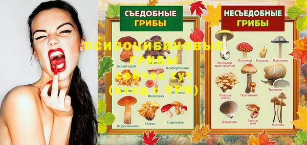 гидра Заволжье