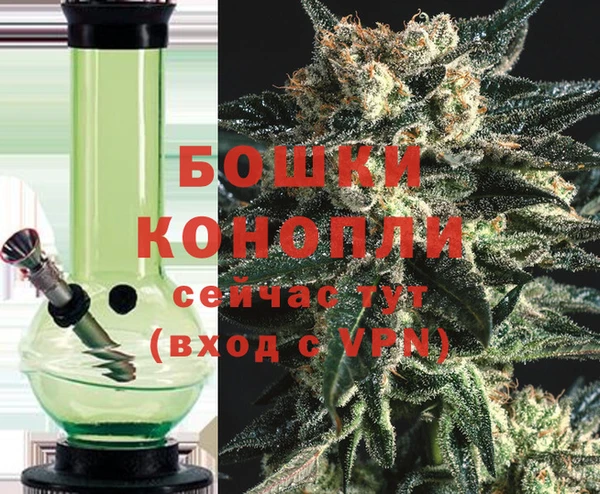 индика Заводоуковск