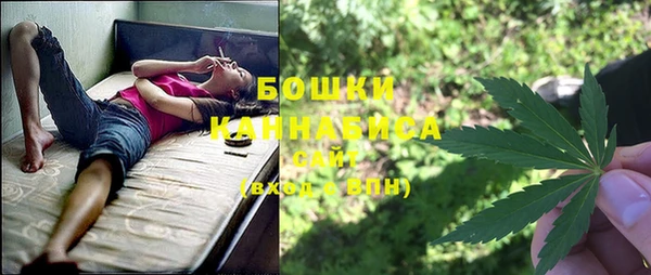 гидра Заволжье
