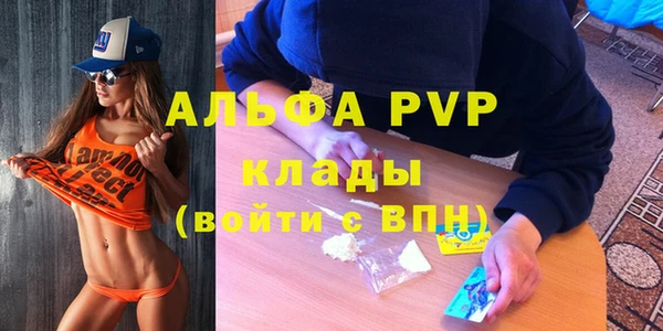 индика Заводоуковск