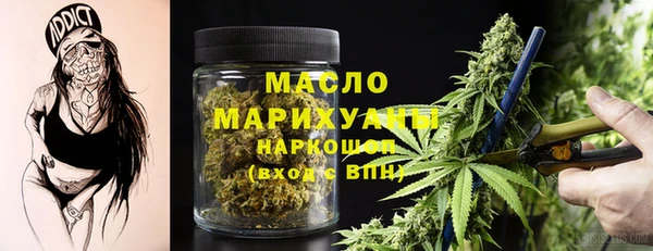 индика Заводоуковск