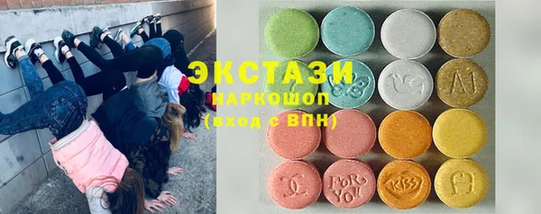 индика Заводоуковск
