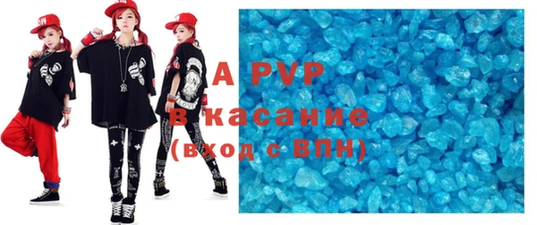 индика Заводоуковск